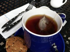 -bluefrog蓝蛙(皇庭广场店)