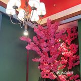 空港也有好吃的湘菜