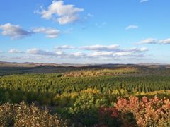 -塞罕坝国家级自然保护区