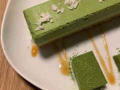 -柴务处·柴犬主题狗咖