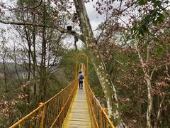 -天河潭旅游度假区