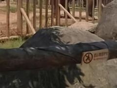 -南昌动物园