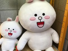 -line friends(明洞旗舰店)