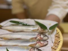 -松临·铁板烧&Omakase(神农店)