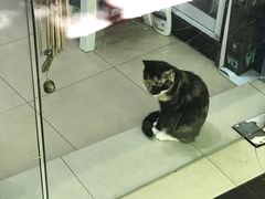 -蘭心餐厅(进贤路店)