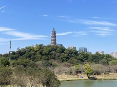 -顺峰山公园