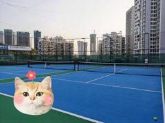 -君成体育|网球培训(蛇口校区)