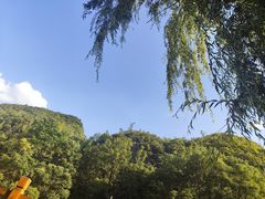 -高荡千年布依古寨旅游景区