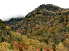 -叠溪松坪沟景区