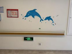 -上海美华妇儿医院