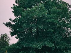 -华南国家植物园-售票处