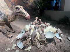 -自贡恐龙博物馆