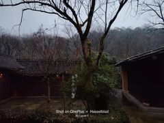 -法云安缦酒店