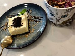 -飞行喵MR PILOT|猫舍·猫咖(静安大融城店)