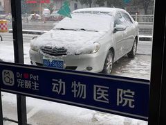 -宠颐生动物医院·小陆分院