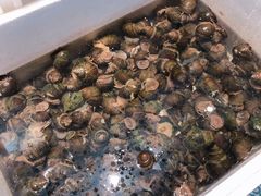 -五稻厨房粤西菜(新闻店)