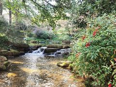 -中国茶叶博物馆(双峰馆区)