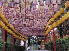 -青龙湖公园