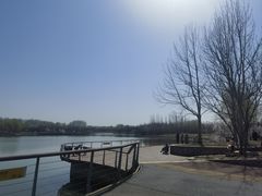 -东郊湿地公园