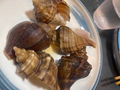 花雕酒香海螺-金龙·打边炉(南京西路店)