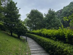 -桃花岭景区