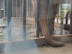 -石家庄市动物园