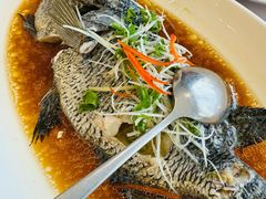 -骏莱海鲜鱼港(五角场店)