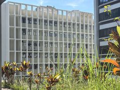 -香港大学