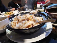 -食为先(Shark Fin)
