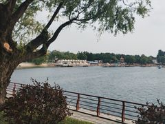 -长春市南湖公园