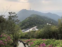 -梧桐山风景名胜区