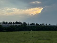 -宝安西湾红树林湿地公园