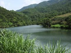 -银瓶嘴森林公园