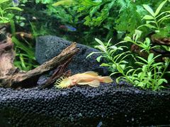 -上海海洋水族馆