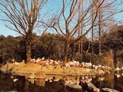 -上海野生动物园
