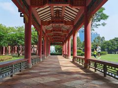 -顺峰山公园