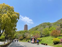 -牛首山文化旅游区