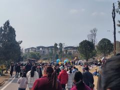 -枫香湖儿童公园