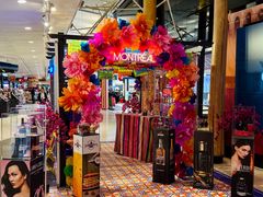 -蒙特利尔皮埃尔·埃利奥特·特鲁多国际机场