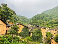 -杨家堂村