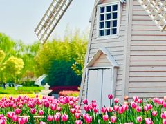 -祥源·阜阳生态乐园