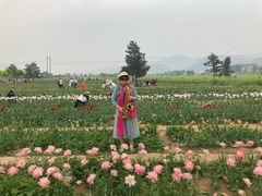 -狼牙山风景区