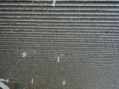 -宁波杉井奥特莱斯广场