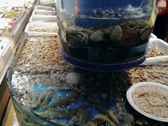 -蓝珊瑚蒸汽海鲜餐厅(龙奥店)