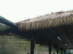 android_upload_pic-上海玛雅海滩水公园