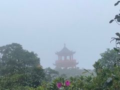 -梧桐山风景名胜区