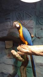 -Zoolung Zoolung动物主题公园(海信广场店)