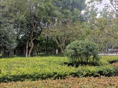 -华罗庚公园