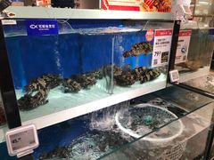 -盒马鲜生(和谐广场店)