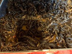 -昆虫窝子·特色云南菜(拓东路总店)